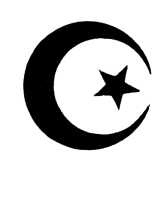 Иллюстрация к книге — Магия царей. Кто тайно правит миром [i_056.jpg]