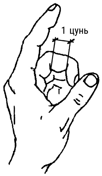 Иллюстрация к книге — Тренируем мозг методом простукивания. Секреты нейрохирургов и шаманов [i_001.jpg]