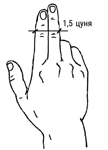 Иллюстрация к книге — Тренируем мозг методом простукивания. Секреты нейрохирургов и шаманов [i_002.jpg]