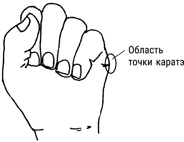 Иллюстрация к книге — Тренируем мозг методом простукивания. Секреты нейрохирургов и шаманов [i_004.jpg]