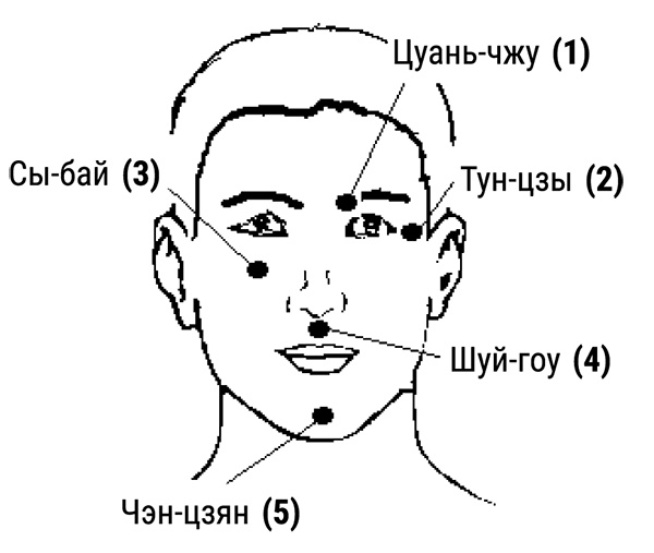 Иллюстрация к книге — Тренируем мозг методом простукивания. Секреты нейрохирургов и шаманов [i_005.jpg]