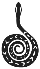 Иллюстрация к книге — Лучшие шаманские практики выздоровления [i_001.jpg]