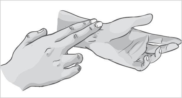 Иллюстрация к книге — Лучшие шаманские практики выздоровления [i_012.jpg]