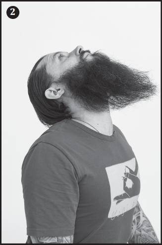 Иллюстрация к книге — Лучшие шаманские практики выздоровления [i_014.jpg]