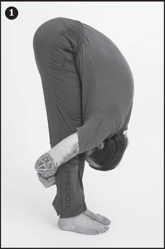 Иллюстрация к книге — Лучшие шаманские практики выздоровления [i_019.jpg]