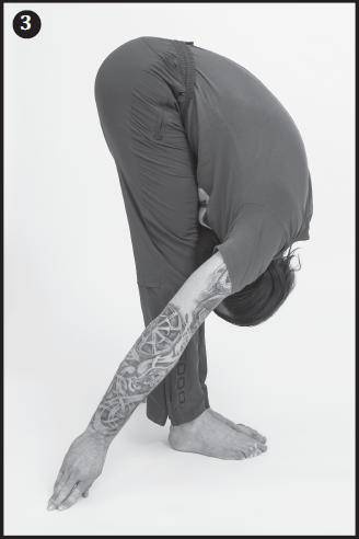 Иллюстрация к книге — Лучшие шаманские практики выздоровления [i_021.jpg]