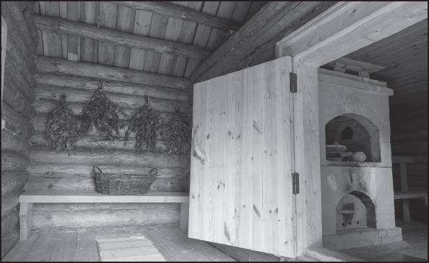 Иллюстрация к книге — Лучшие шаманские практики выздоровления [i_060.jpg]