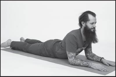 Иллюстрация к книге — Лучшие шаманские практики выздоровления [i_109.jpg]