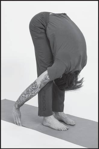 Иллюстрация к книге — Лучшие шаманские практики выздоровления [i_113.jpg]