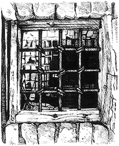 Иллюстрация к книге — Амальгама [i_009.jpg]