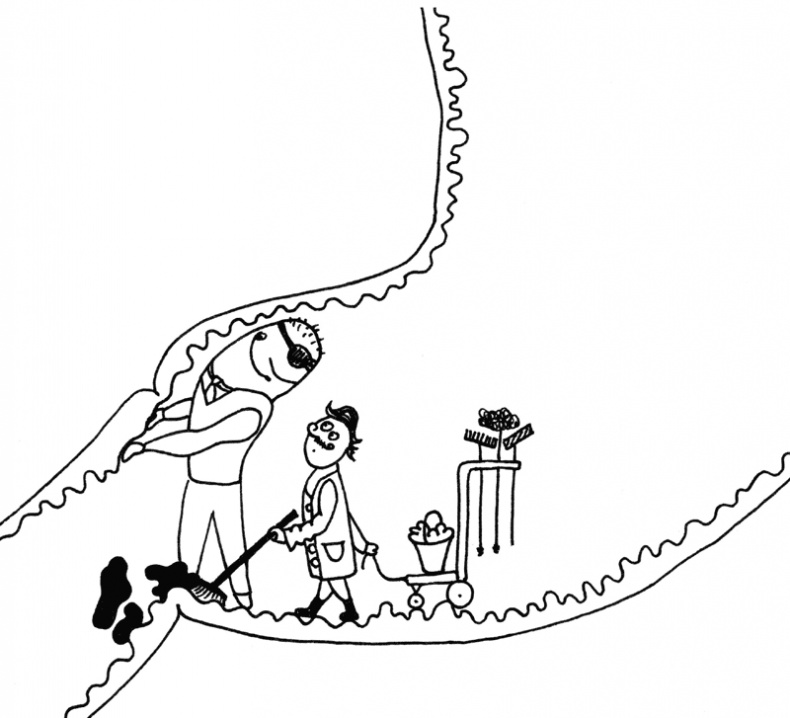 Иллюстрация к книге — Очаровательный кишечник. Как самый могущественный орган управляет нами [i_013.jpg]