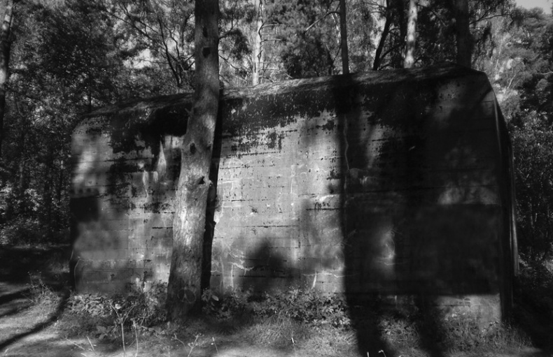 Иллюстрация к книге — Хождение по катынским мифам [i_017.jpg]