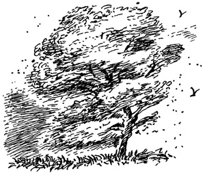 Иллюстрация к книге — Квартет Дейлмарка. Книга 4. Корона Дейлмарка [i_043.jpg]