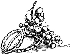 Иллюстрация к книге — Квартет Дейлмарка. Книга 4. Корона Дейлмарка [i_055.jpg]