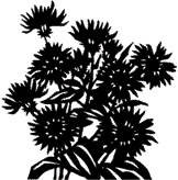 Иллюстрация к книге — Древние. Возвышение [i_030.jpg]