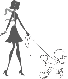 Иллюстрация к книге — 24 сверхспособности. Гениальность по-французски! [i_005.jpg]