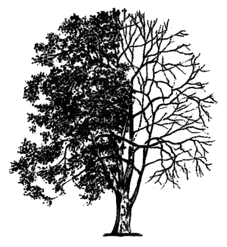 Иллюстрация к книге — Человек с яйцом. Жизнь и мнения Александра Проханова [i_020.jpg]