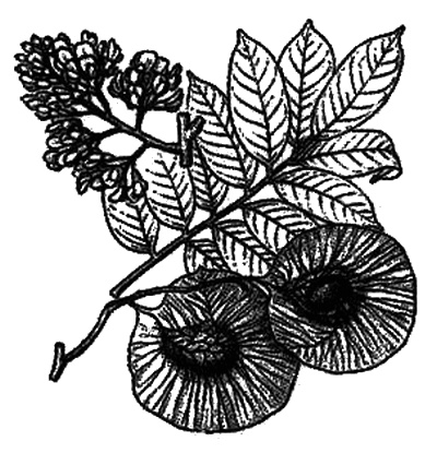 Иллюстрация к книге — Человек с яйцом. Жизнь и мнения Александра Проханова [i_021.jpg]