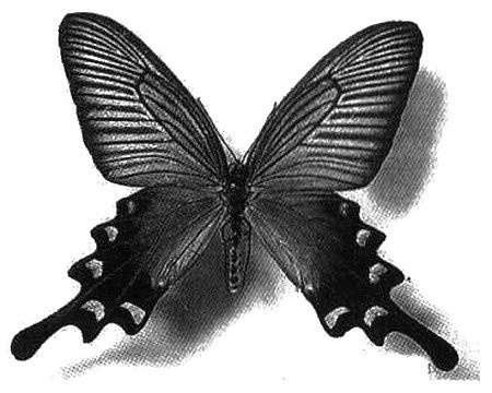 Иллюстрация к книге — Человек с яйцом. Жизнь и мнения Александра Проханова [i_076.jpg]