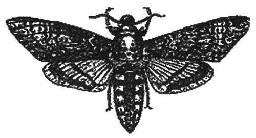 Иллюстрация к книге — Человек с яйцом. Жизнь и мнения Александра Проханова [i_082.jpg]