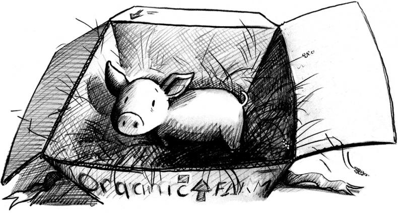 Иллюстрация к книге — Джордж и тайны Вселенной [i_003.jpg]