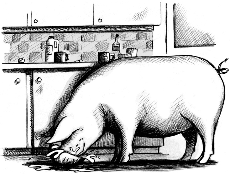 Иллюстрация к книге — Джордж и тайны Вселенной [i_009.jpg]