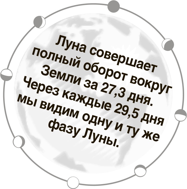 Иллюстрация к книге — Джордж и тайны Вселенной [i_018.jpg]