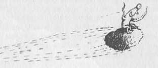 Иллюстрация к книге — Джордж и сокровища Вселенной [i_092.jpg]