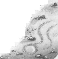 Иллюстрация к книге — Джордж и сокровища Вселенной [i_098.jpg]