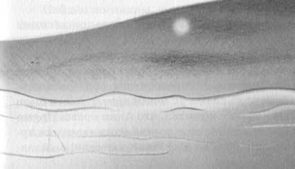 Иллюстрация к книге — Джордж и сокровища Вселенной [i_130.jpg]