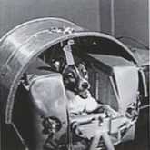 Иллюстрация к книге — Джордж и сокровища Вселенной [i_168.jpg]