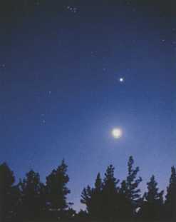 Иллюстрация к книге — Джордж и сокровища Вселенной [i_204.jpg]