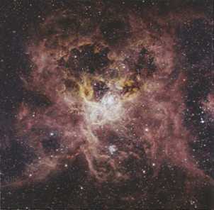 Иллюстрация к книге — Джордж и сокровища Вселенной [i_207.jpg]