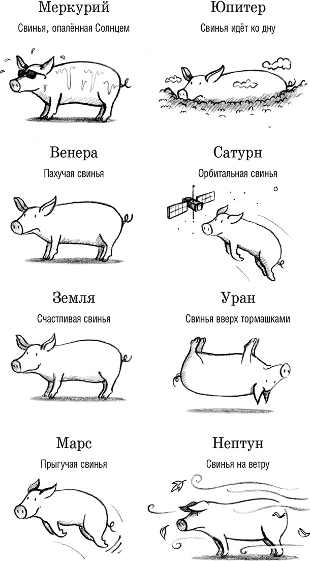 Иллюстрация к книге — Джордж и Большой взрыв [i_005.jpg]