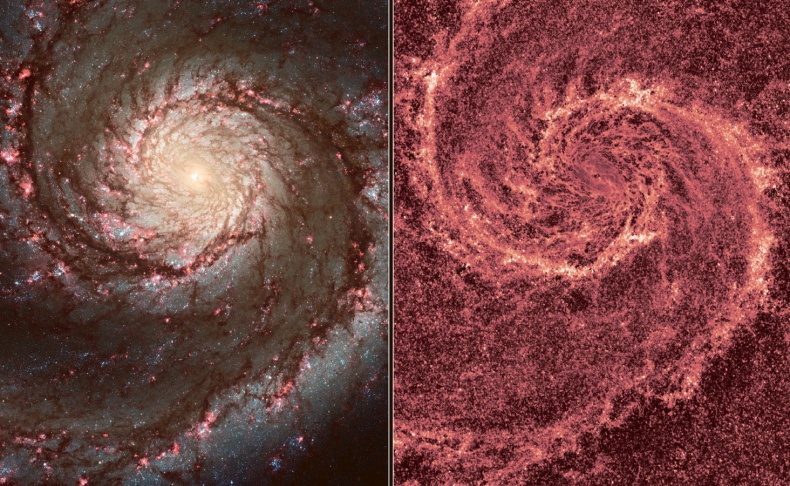 Иллюстрация к книге — Джордж и Большой взрыв [i_111.jpg]