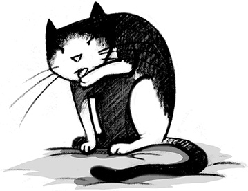 Иллюстрация к книге — Джордж и Большой взрыв [i_140.jpg]