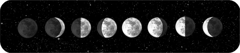 Иллюстрация к книге — Джордж и код, который не взломать [i_047.jpg]