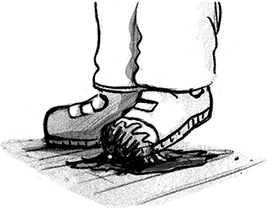 Иллюстрация к книге — Джордж и код, который не взломать [i_078.jpg]