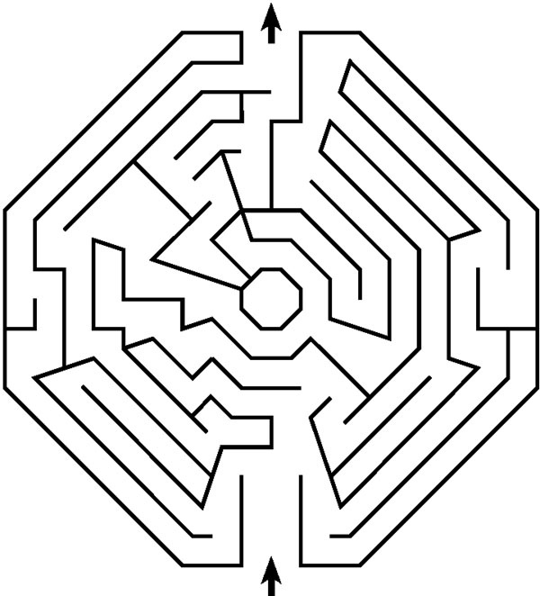 Иллюстрация к книге — Зрение. Советы и рекомендации ведущих врачей [_1702.jpg]