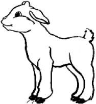 Иллюстрация к книге — Детский клуб. От идеи до прибыли [_11.jpg]