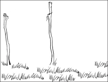 Иллюстрация к книге — Детский клуб. От идеи до прибыли [_6.jpg]