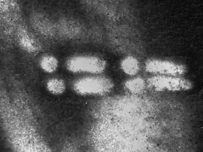 Иллюстрация к книге — Прибыльный детский клуб [Autogen_eBook_id11.jpg]