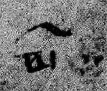 Иллюстрация к книге — Русь и Орда. Великая Империя Средних веков [i_007.jpg]