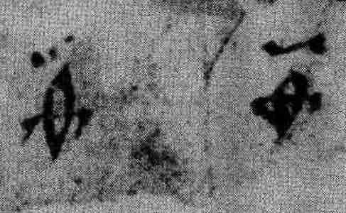 Иллюстрация к книге — Русь и Орда. Великая Империя Средних веков [i_009.jpg]