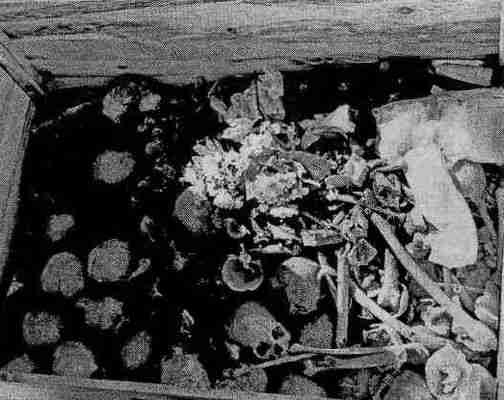 Иллюстрация к книге — Русь и Орда. Великая Империя Средних веков [i_084.jpg]