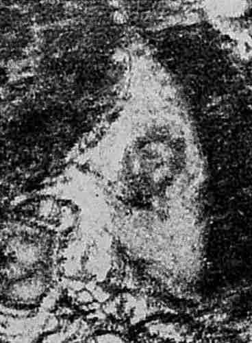 Иллюстрация к книге — Русь и Орда. Великая Империя Средних веков [i_117.jpg]