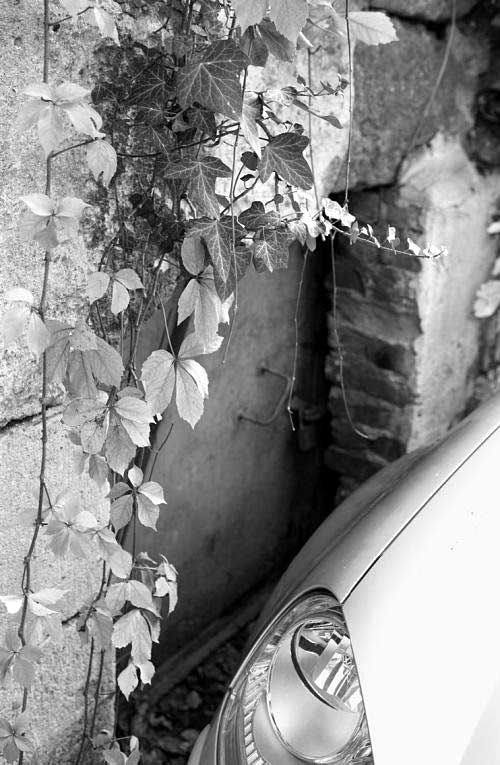 Иллюстрация к книге — Тайна Колизея [i_037.jpg]