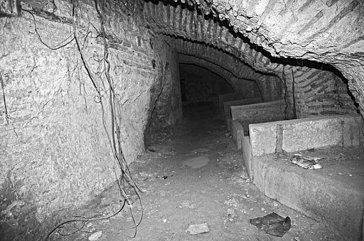 Иллюстрация к книге — Тайна Колизея [i_045.jpg]