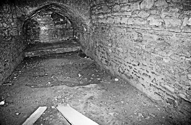 Иллюстрация к книге — Тайна Колизея [i_047.jpg]