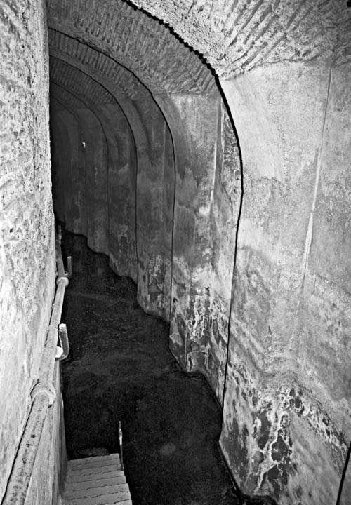 Иллюстрация к книге — Тайна Колизея [i_049.jpg]